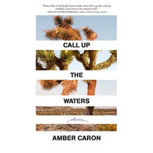 Call Up the Waters: Stories - Paperback