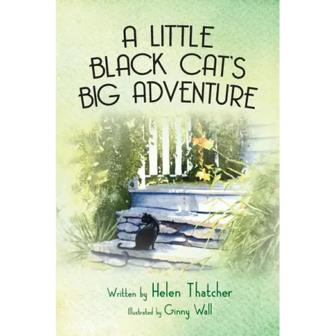A Little Black Cat's Big Adventure
