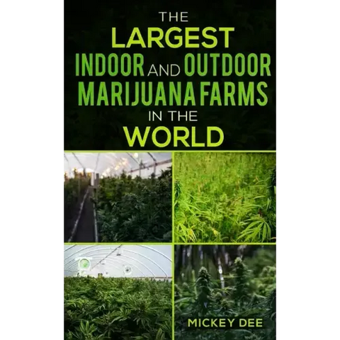 The Largest Indoor and Outdoor Marijuana Farms in the World