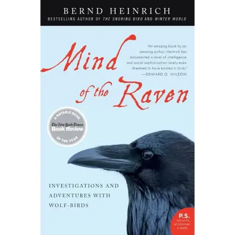 Mind of the Raven: Investigations and Adventures with Wolf-Birds