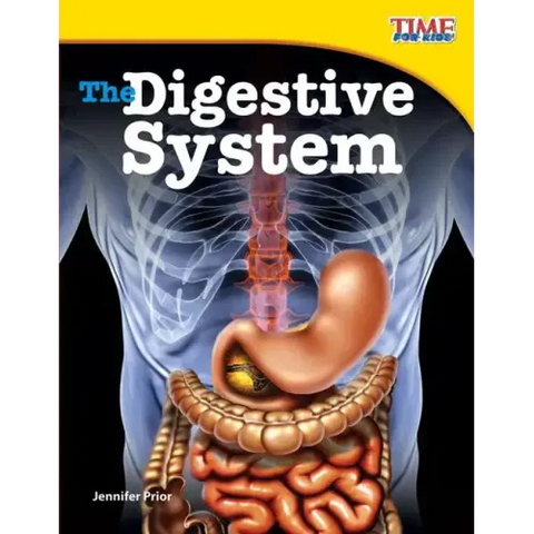 The Digestive System
