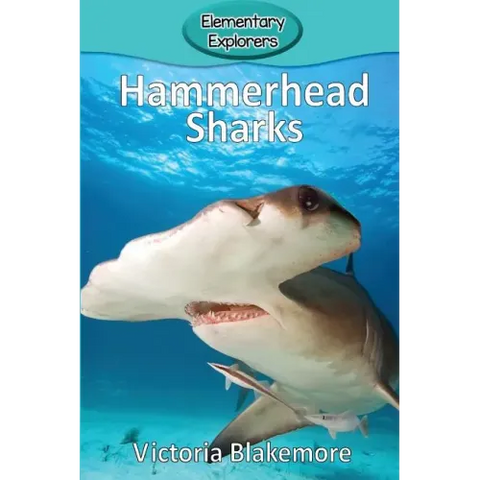 Hammerhead Sharks