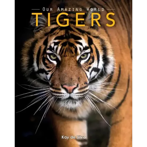 Tigers: Amazing Pictures & Fun Facts on Animals in Nature