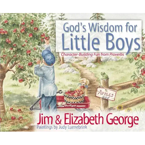 God's Wisdom for Little Boys: Character-Building Fun from Proverbs