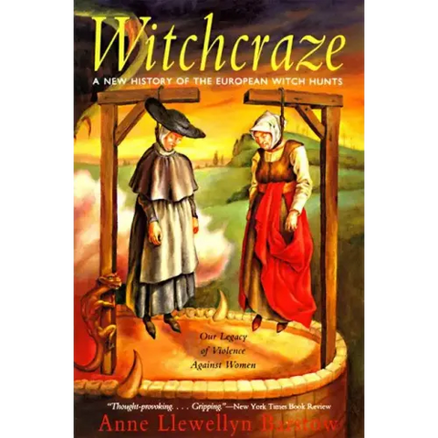 Witchcraze: New History of the European Witch Hunts, a