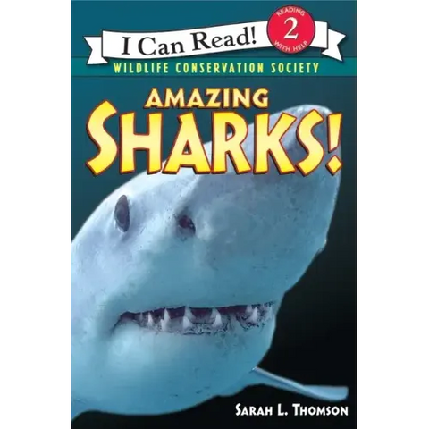 Amazing Sharks!