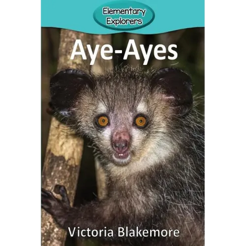 Aye-Ayes