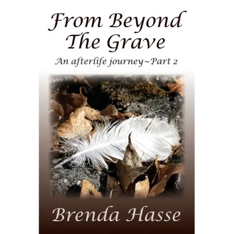 From Beyond The Grave: An afterlife journey Part 2