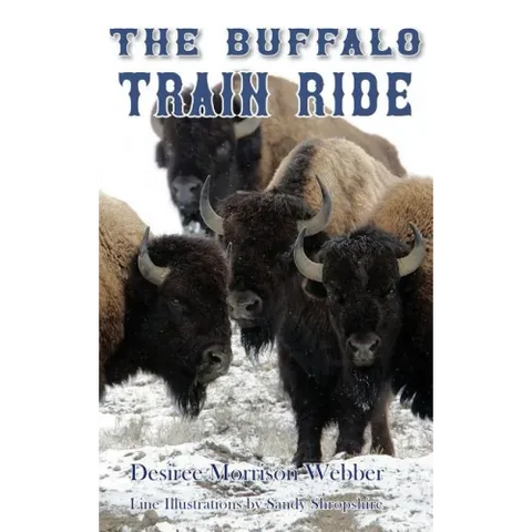 The Buffalo Train Ride
