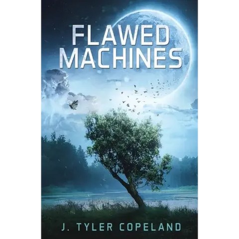Flawed Machines