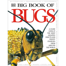 Big Book of Bugs - Hardcover