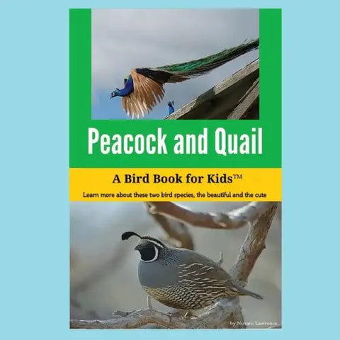 Peacock and Quail: A Bird Book for Kids(TM)