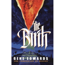 The Birth: The Birth: A Novel of Heaven and the Nativity - Paperback