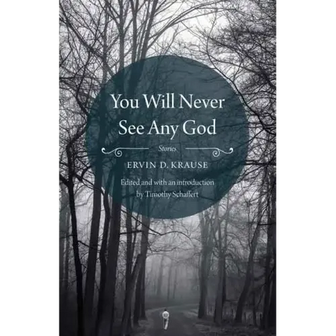 You Will Never See Any God