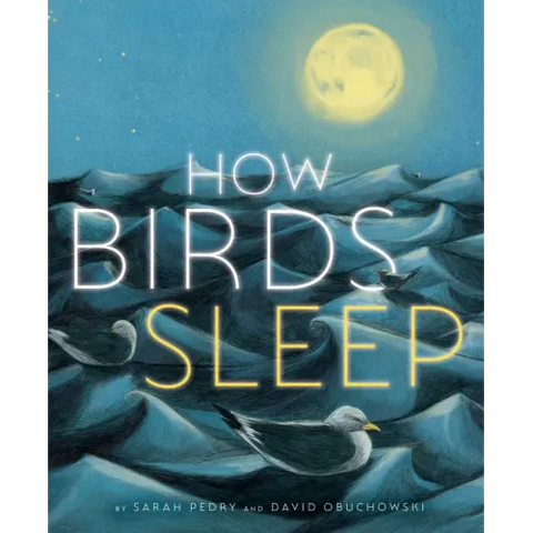 How Birds Sleep