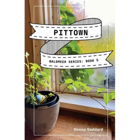 Pittown: A Spiritual Fiction Series