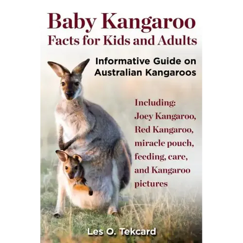 Baby Kangaroo Facts for Kids and Adults
