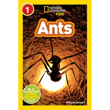 Ants (National Geographic Kids Readers, Level 1) - Paperback