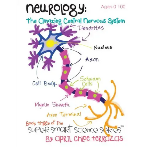 Neurology: The Amazing Central Nervous System