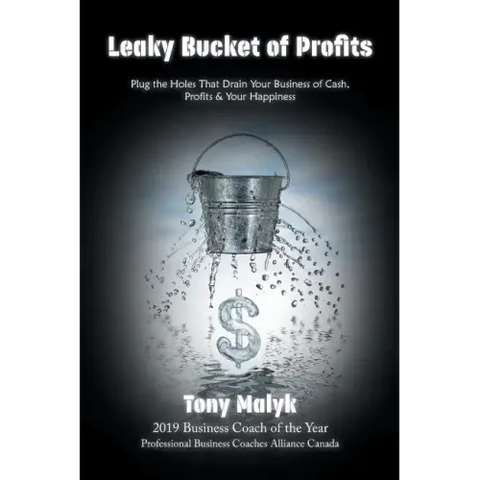Leaky Bucket of Profits: Plug the Holes That Drain Your Business of Cash, Profits & Your Happiness