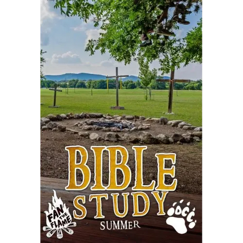 Bible Study: Summer