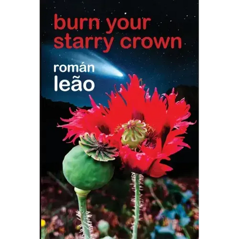 Burn Your Starry Crown