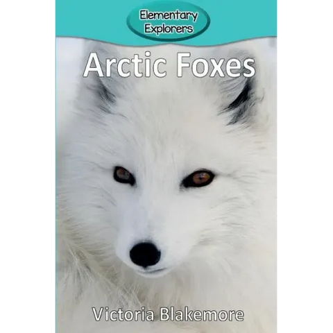 Arctic Foxes
