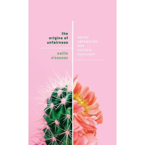 Origins of Unfairness: Social Categories and Cultural Evolution