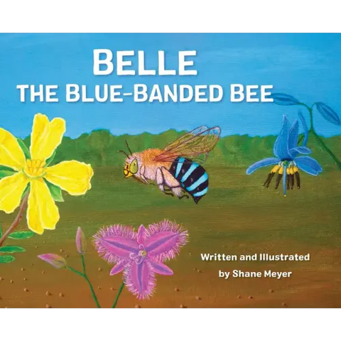 Belle The Blue-Banded Bee
