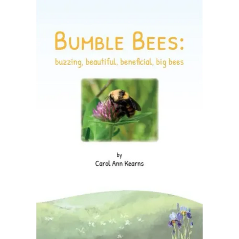 Bumble Bees: buzzing, beautiful, beneficial, big bees