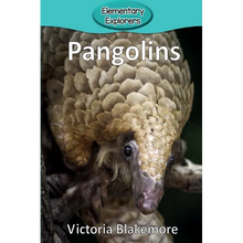 Pangolins - Paperback