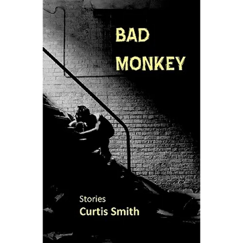 Bad Monkey