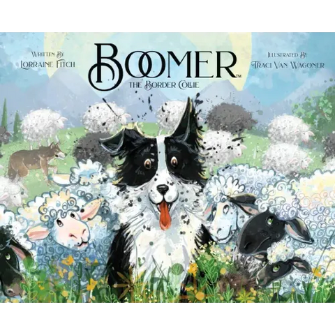 Boomer the Border Collie
