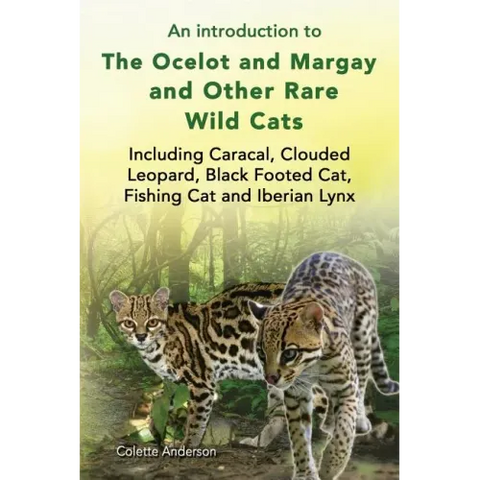 An introduction to The Ocelot and Margay and Other Rare Wild Cats Including Caracal, Clouded Leopard, Black Footed Cat, Fishing Cat and Iberian Lynx