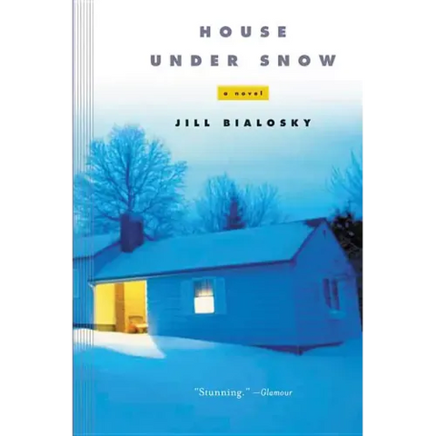 House Under Snow