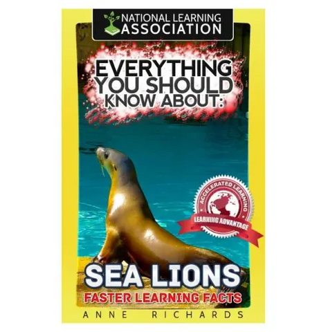 Everything You Should Know About: : Sea Lions