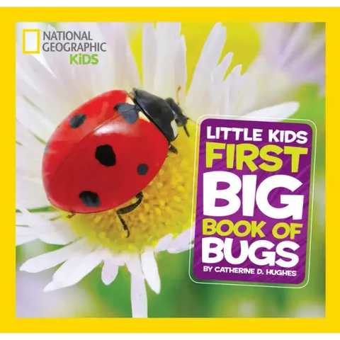 Little Kids First Big Book of Bugs