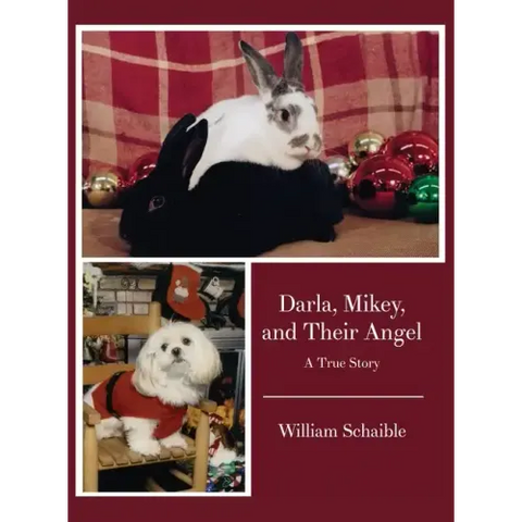 Darla, Mikey, and Their Angel: A True Story