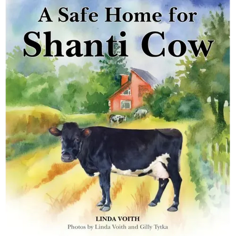 A Safe Home for Shanti Cow