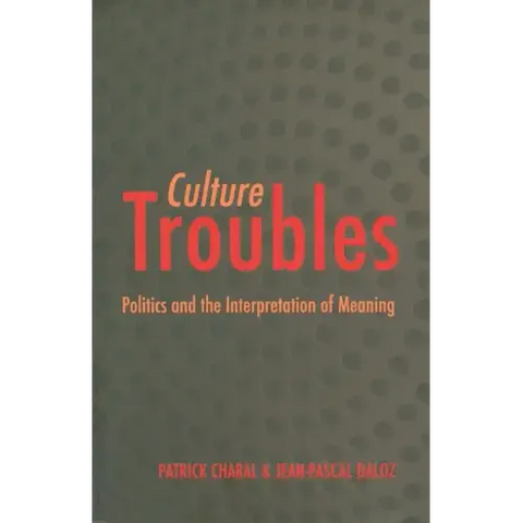 Culture Troubles: Politics and the Interpretation of Meaning
