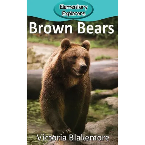 Brown Bears
