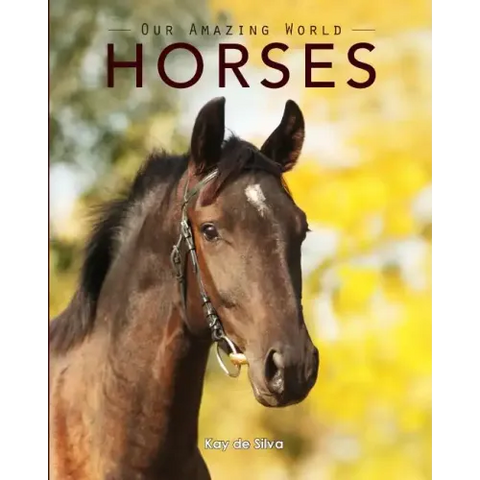 Horses: Amazing Pictures & Fun Facts on Animals in Nature