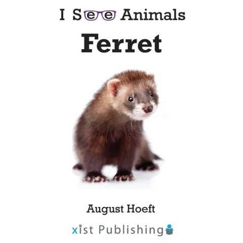 Ferret