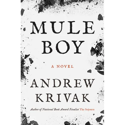 Mule Boy