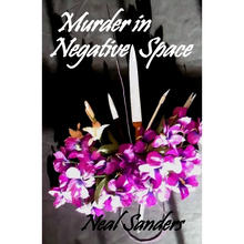 Murder in Negative Space - Paperback