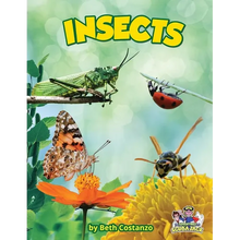 Insects - Paperback