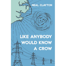 Like Anybody Would Know a Crow - Paperback