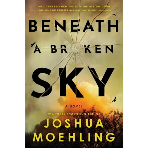Beneath a Broken Sky