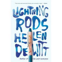 Lightning Rods - Paperback