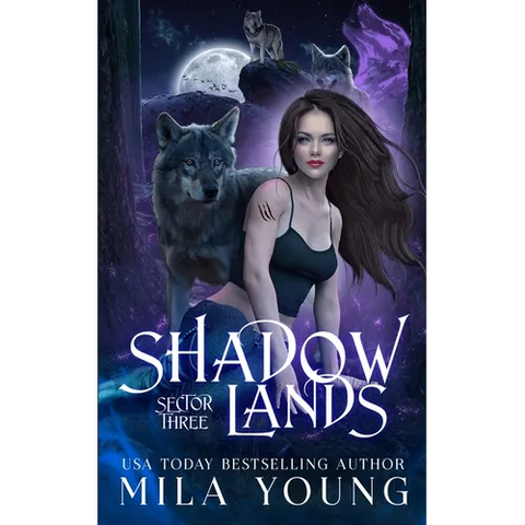 Shadowlands Sector Three